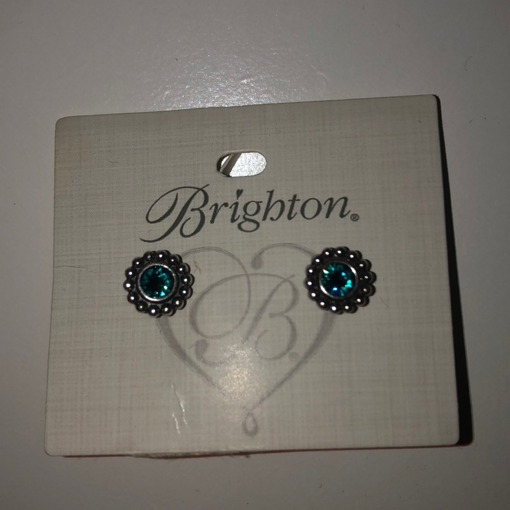 Brand new blue earrings